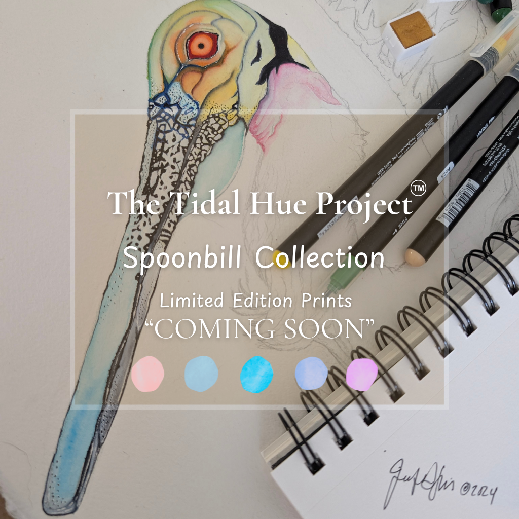 The Tidal Hue Project Collection