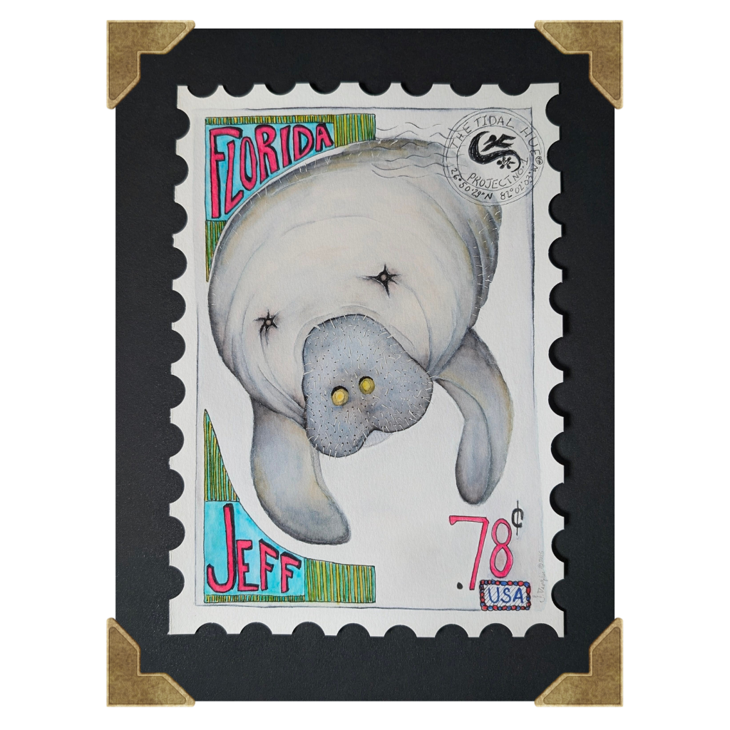 Jeff – Limited Edition Collector BoX