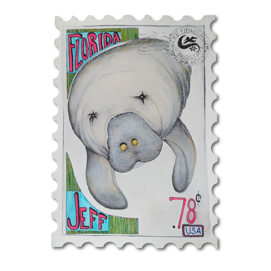 Jeff – Limited Edition Collector BoX